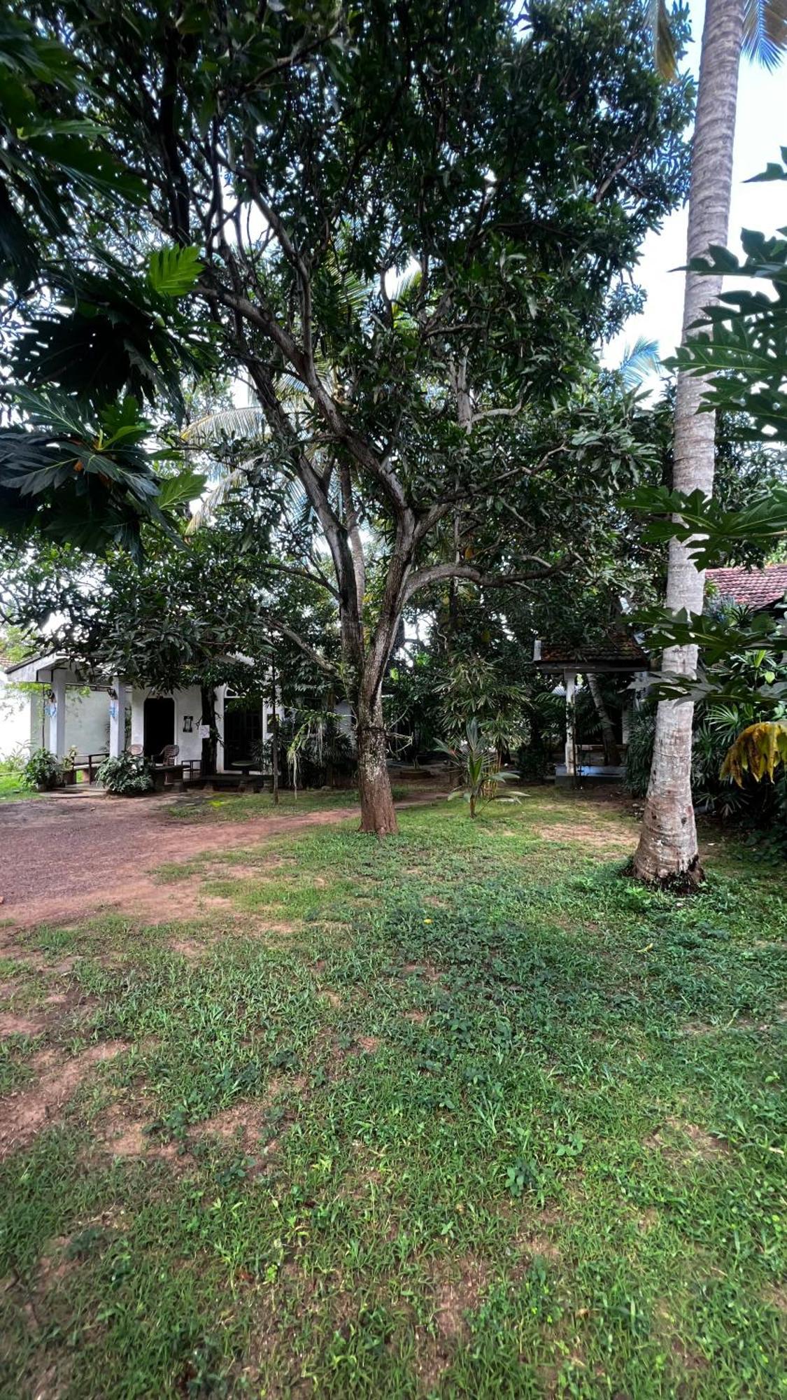 Sylvester Villa Hostel 니곰보 외부 사진