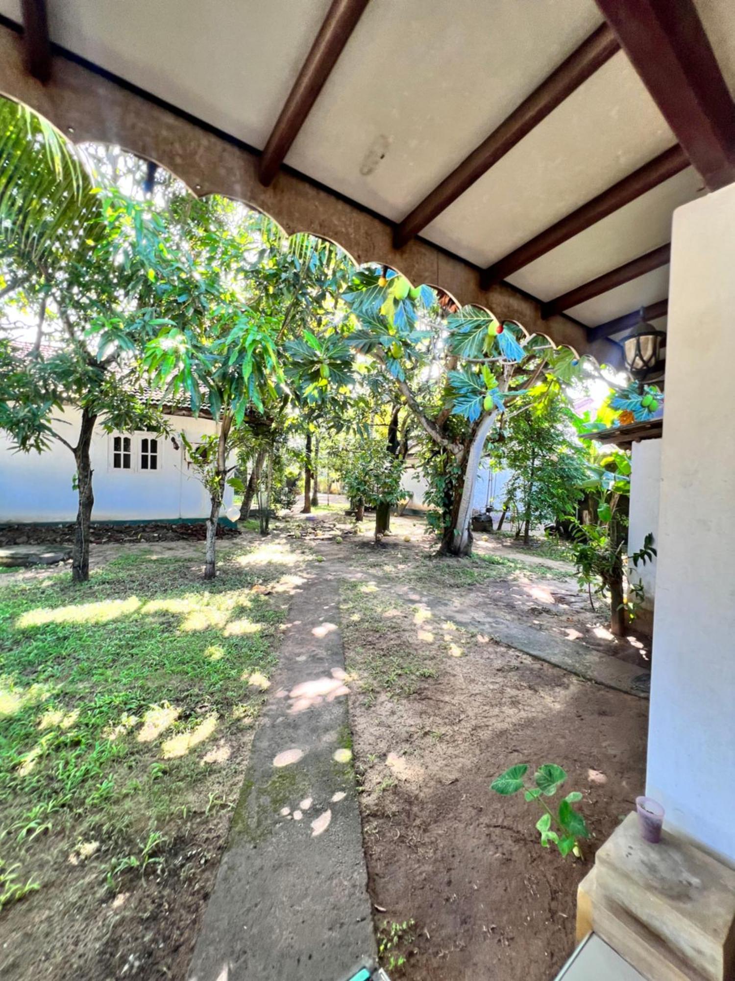 Sylvester Villa Hostel 니곰보 외부 사진